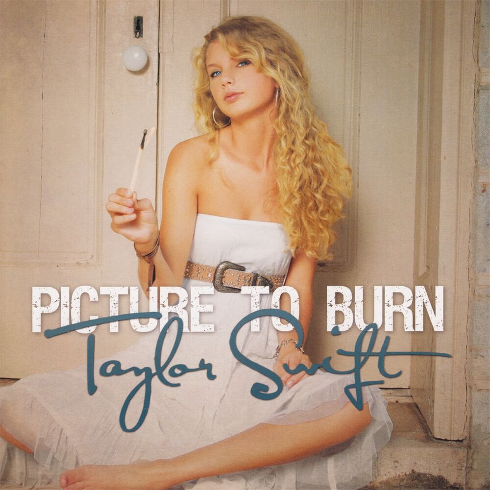 Picture To Burn - 2